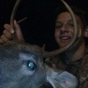 Meet your Posher, Peyton